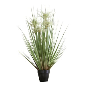 観葉植物 おすすめ 通販の人気商品 通販 価格比較 価格 Com 観葉植物 おすすめ 通販の人気商品 通販 価格比較 価格 Com