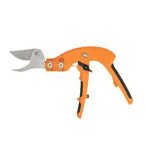 jVKL sXg 260 N-164 y H  ؂ ؒf K[fjO K[f c[  |p | H pizy ߁z[CB99]