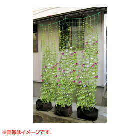 楽天市場 緑のカーテン ガーデニング 農業 花 ガーデン Diy の通販