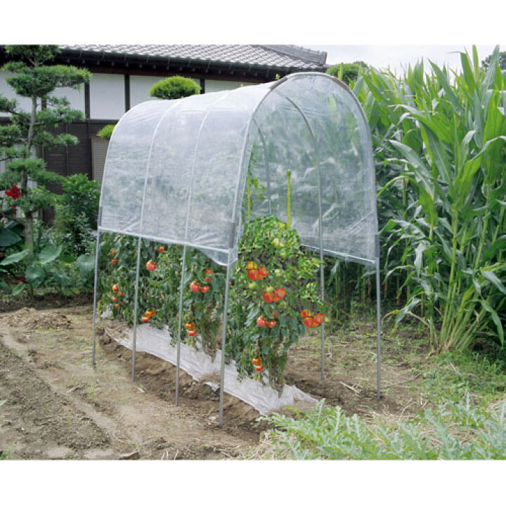 楽天市場】南榮 トマトの屋根 NT-27型 【雨よけ 雨除け 雨避け ハウス 