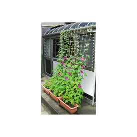 楽天市場 グリーンカーテン ネット 麻の通販