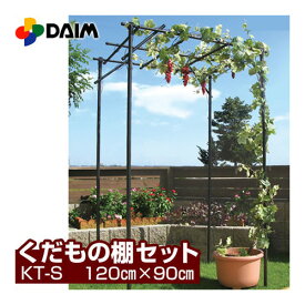 楽天市場 ヘチマ 栽培の通販