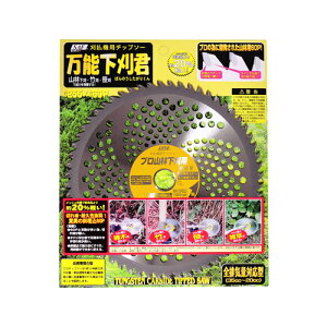 ѓSH @p`bv\[ \N 255X60P 000751y@ n @ `bv\[   ֐n  ւn   @ i @zy ߁z[CB99]