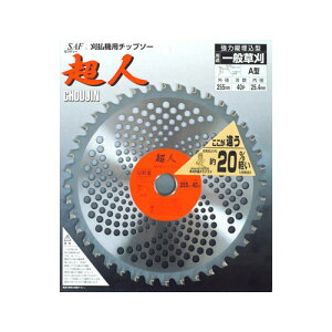 ѓSH @p`bv\[ lA^ 255X40P 501234y@ n @ `bv\[   ֐n  ւn   @ i @zy ߁z[CB99]