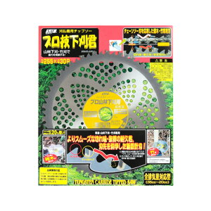 ѓSH @p`bv\[ vZN 230X28P 655326y@ n @ `bv\[   ֐n  ւn   @ i @zy ߁z[CB99]