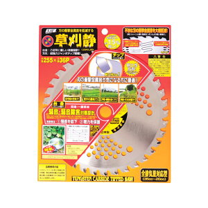 ѓSH @p`bv\[  255X36P 658976y@ n @ `bv\[   ֐n  ւn   @ i @zy ߁z[CB99]