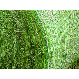 楽天市場 干し草 花 ガーデン Diy の通販 楽天市場 干し草 花 ガーデン Diy の通販