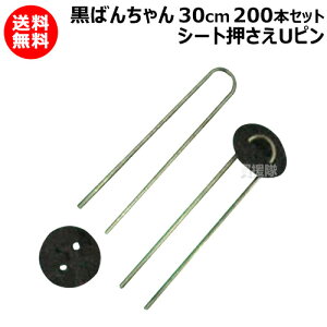 ΂񂿂(30cm) t 200{Zbg ys Us V[g V[gs }` }`V[g |pi ƒ؉ _Ǝ Œ Gh~V[g G΍zy 