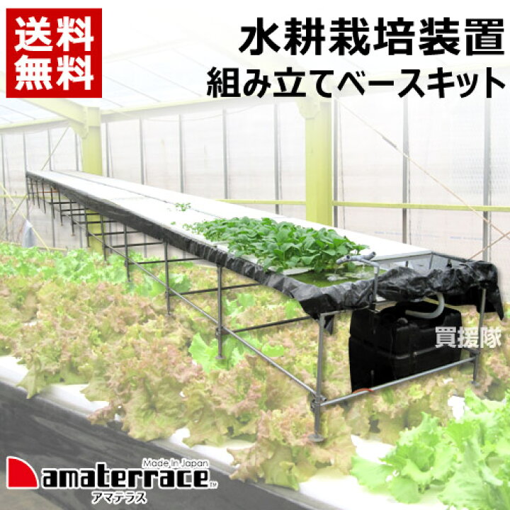 楽天市場】☆ポイント5倍☆《法人限定》グリーングリーン 水耕栽培装置 