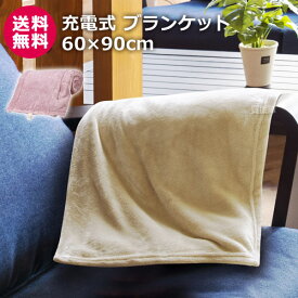 楽天市場 充電式 暖房器具の通販