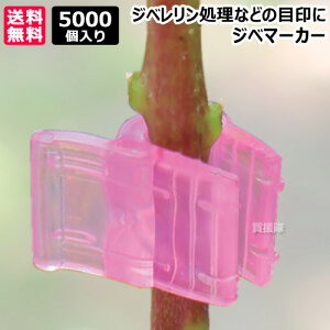 V[ Wx}[J[ bh 5000 GM-R05 yԂǂ uhE  Wx  p ڈ }[J[ }[N  Nbv _炩 Aɂ₳ fށzy ߁z[CB99]