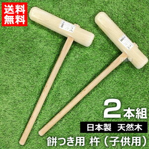 n qp 2{Zbg i{EVR؁j ~YL y݂    s  p n qǂ p  wZs     Nn N Cxgzy ߁z[CB