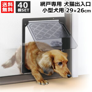 _CI Lo ^p 29×26cm 40Zbg y^   ybg p Ԍ  TbV p  o ʂ蓹 o hA ȒPt ΂ŕ y͂ŊJzy 
