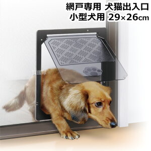 _CI Lo ^p 29×26cm PD3035 y^   ybg p Ԍ  TbV p  o ʂ蓹 o hA ȒPt ΂ŕ y͂ŊJzy 