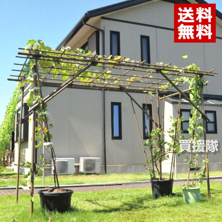楽天市場 法人限定 セキスイ フルーツパーゴラdx ぶどう棚 藤棚 ふじ棚 葡萄棚 園芸棚 菜園 棚 支柱 園芸 用品 つる ヘチマ キウイ 栽培 格子棚 軒下 ツル 積水樹脂 おしゃれ おすすめ Cb99 送料無料 組立 調整 設置が簡単 買援隊