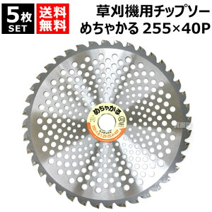 y5Zbgz @p`bv\[ 255×40P ߂Ⴉ VQ y255mm ȃZbg ֐n ւn  n ς ւ Օi @p n @pn n @ `bv\[    