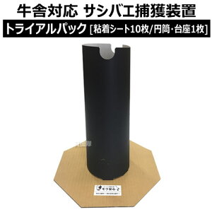 N[|ōő1000~OFFTpbN ɑΉTVoGߊlu ES[gCApbN](SV[g10/~E1)yߒpV[g  {Y Qߊl Q쏜 h  