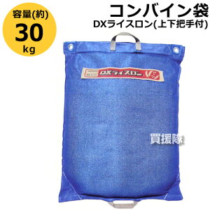 cY RoC DXCX(㉺ct) yĖ   哤  o n ^ ړ  A  @  ro bV ʋCzy ߁z [CB99]