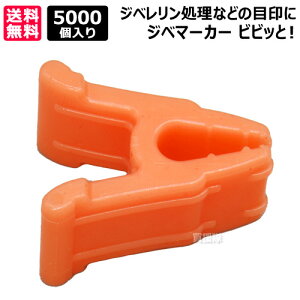 V[ Wx}[J[ rrbƁI 5000 IW VVT-OR05 yԂǂ uhE  Wx  p ڈ }[J[ }[N  Nbv _炩 Aɂ₳ fށzy 