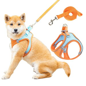 �� �n�[�l�X ���[�h �Z�b�g �����Ȃ� �ȒP���E �y�� ���U�� ���o���� ��������h�~ ���� �x�X�g �L�p�n�[�l�X ������� ���� �����^�� ���^�� ���^�� �q�� �n�[�l�X(�u���[�I�����W*1�CS)