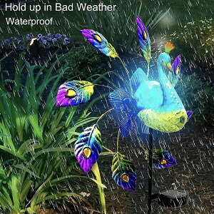 _P2{11/14܂Ł^yz K[f sbN  E K[fsbN K[fjOG \[[   K[fjO v^[ Ԓd