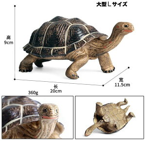 _P2{11/29܂Ł^yztBMA J NK A 20cm 傫   IuWF v[g ǂ W{  X