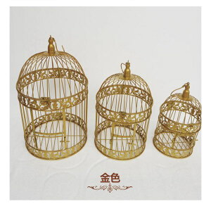 _Pő5{11/30^yz o[hP[W  AeB[N   t[AWg K[fjO fBXvC uY CeA