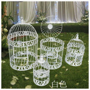 _Pő5{11/15^yz o[hP[W  AeB[N   t[AWg K[fjO fBXvC uY CeA