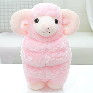 _P2{10/19^yzʂ r   42cm 傫  IׂJ[