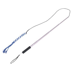 _P2{11/4܂Ł^yzpފƂ [v  ނ 炵 OߐLk XgXE^s v ^ ^ lC