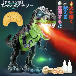 _Pő5{10/10^yzyRtz @  􂦂   Y t-rex WR mߋ @B q̂ _Ci\[ Mtg  {bg 