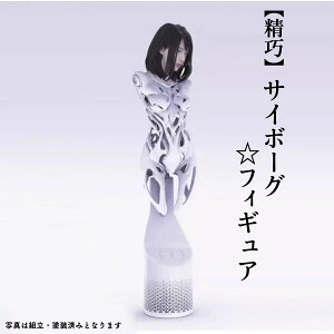 _P2{12/4܂Ł^yzAhCh TC{[O q S100mm 75mm tBMA vf K[WLbg h g 1:24 1:18