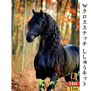 _P2{11/29܂Ł^yzhJLbg n ̃`[t DIY NXXeb` hJLbg hイLbg NXXeb` k  CeA 킢 Mtg nhCh |