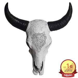 _P2{11/24܂Ł^[yV1]yzǊ| XJwbh  3D  쐶    u H| z[ ƒp i Oz[ 