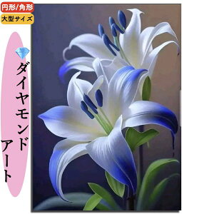 _P2{9/14܂Ł^yzS _ChA[g NX^ r[YhJ G 5D | Eh XNGA J[r[Y LLr[Y ANZgp UCN k   