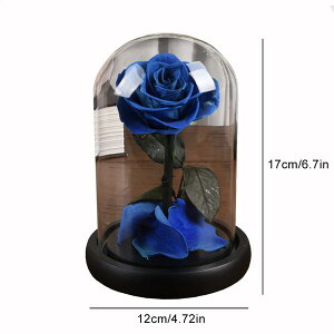 _Pő5{11/30^yzKXh[  ͂Ȃ   A[gt[ ̓v[g Mtg 킢 j o^C   X iX  p[eB