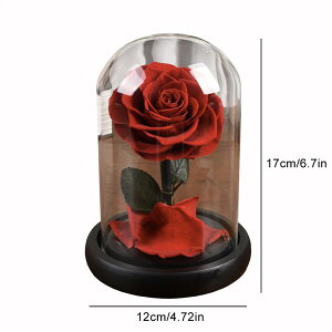 _Pő5{12/1^yzKXh[  ͂Ȃ   A[gt[ ̓v[g Mtg 킢 j o^C   X iX  p[eB[