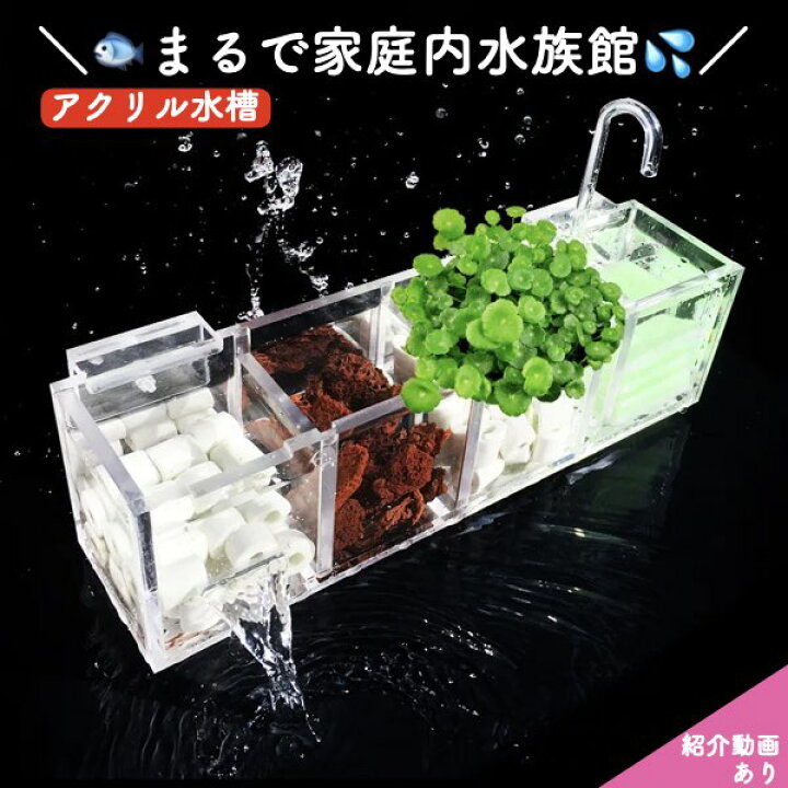 楽天市場】＼P最大5倍☆4/15限定／[楽天1位]【送料無料】水族館 外部 