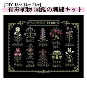 _Pő5{11/18^yzhJLbg nEB LŐA } g ubNLoX NXXeb` 쐬Lbg 18ct 14ct 11ct DIY k  CeA 킢 Mtg n