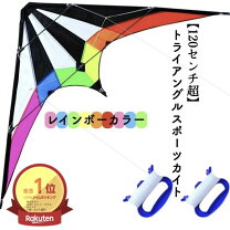 楽天市場】スポーツカイトの通販