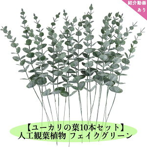 _P2{11/17܂Ł^yzlHϗtA tFCNO[ [J̗t 10{Zbg 38cm ^ ϗtAtFCN A[eBtBVO[ ԕEQ̐SzȂ  jv