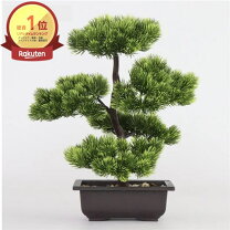 楽天市場】盆栽 松（置物｜インテリア小物・置物）：インテリア・寝具 