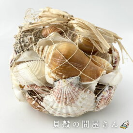 ［貝殻セット］貝殻1kg詰め合わせ(アバカ袋)【約1kg/1個】貝 貝殻 シェル ミックス ディスプレイ 海 砂浜 ハンドメイド フォト