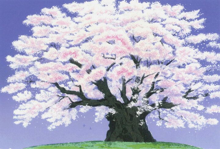 楽天市場】吉岡浩太郎・爛漫/尾根の淡墨桜（うすずみざくら）（岐阜県 