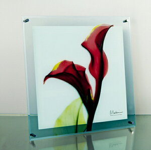 X Ray KXA[gigQA[gjEJ[bhiǊ|pjiMTCYj