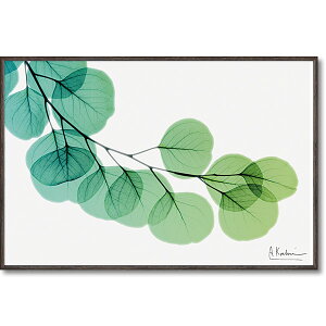 gQLpXA[g [t1 A[g CeA gQA[g t[ 