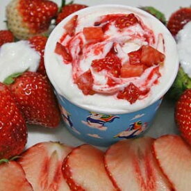 【スーパーSALE中 先着クーポン+P2倍】 カップアイス アイスクリーム ジェラート いちごヨーグルト いちごアイス 苺のフレッシュな味と香りいっぱいのフローズンヨーグルト 魁ジェラートアイスクリーム