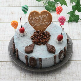 チョコミント ミントチョコレート アイスケーキ 6号18cmサイズ スイーツ 誕生日プレゼント お祝い