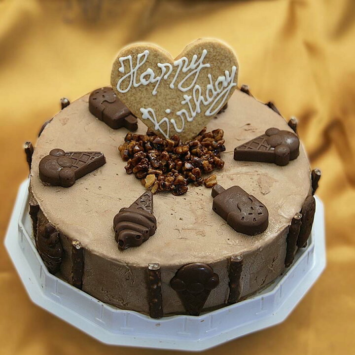 楽天市場 送料無料 アイスケーキ 誕生日 チョコレートアイスケーキ 6号サイズ 直径18cm 大きめサイズ ケーキアイス 大人数用 ケーキ アイス お 誕生日 バースデイ お誕生会 ホームパーティ プレゼント カード付き アイスクリーム 魁ジェラート アイスクリームケーキ