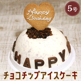 送料無料 チョコチップ アイスケーキ お誕生日 バースデイ お誕生日ギフト お誕生会 ホームパーティー プレゼント カード付き アイスクリーム チョコレート 魁ジェラート ケーキアイス ケーキ アイス ギフト アイスクリームケーキ